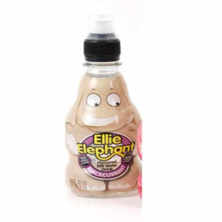 WILD WATER-BLACKCURRANT 270ML X 12