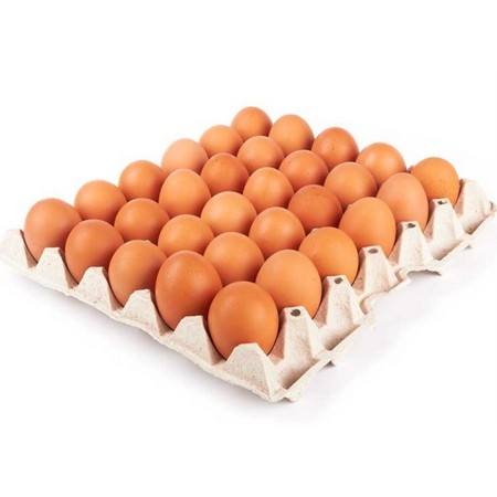 MEDIUM CAGE  X 30